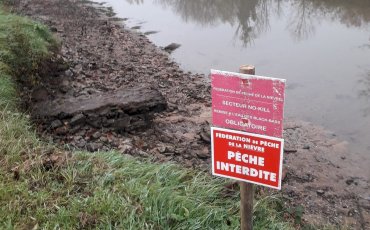 Canal latéral à la Loire - Interdiction temporaire de pêche.